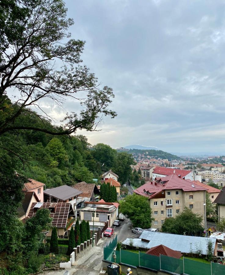 Nature Apartment - Minutes Away From The Old Town And Afi Mall Μπρασόβ Εξωτερικό φωτογραφία