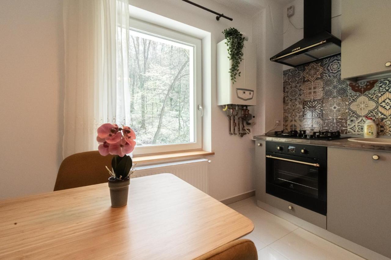 Nature Apartment - Minutes Away From The Old Town And Afi Mall Μπρασόβ Εξωτερικό φωτογραφία
